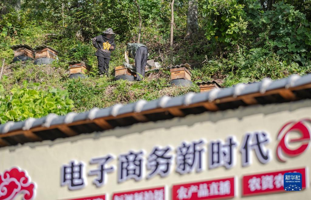 手机购彩app哪个好