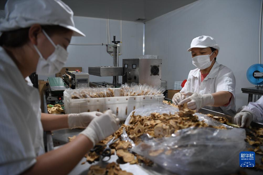 人民币赌城网址